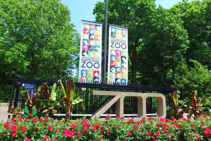 Smithsonian’s National Zoo. Foto - travelworldplanet.com