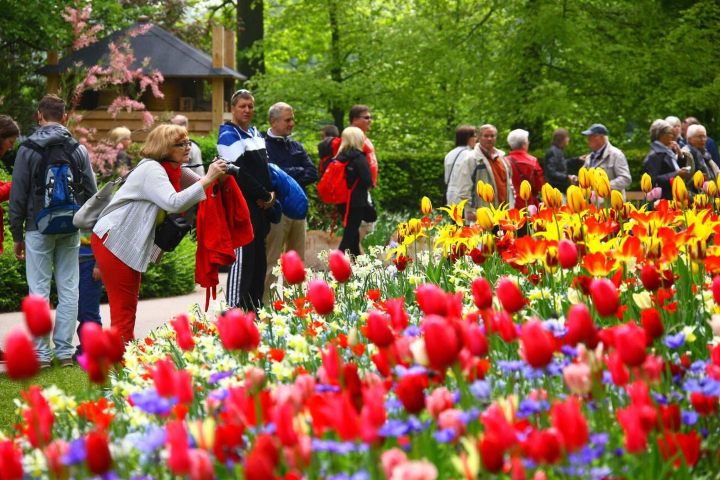2. Visitantes en Keukenhof. Foto - Alamy