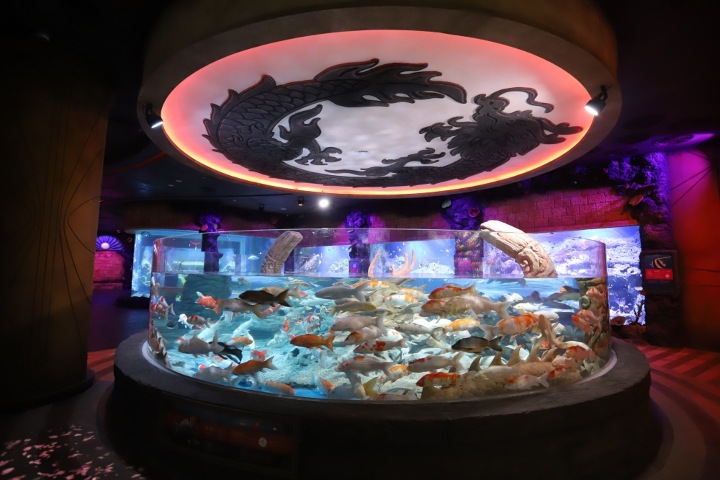 3. Sala el Tesoro Acuático. Foto - VinWonders