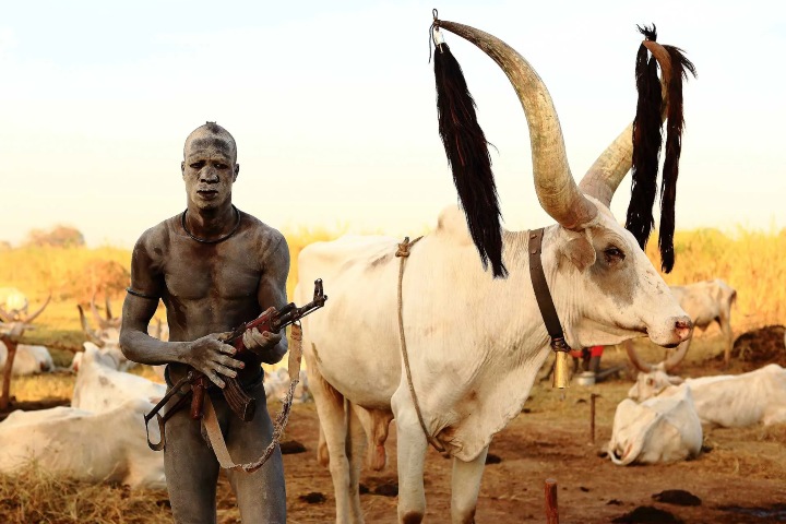 4. Hombre Mundari con vaca. Foto - Rift Valley Expeditions