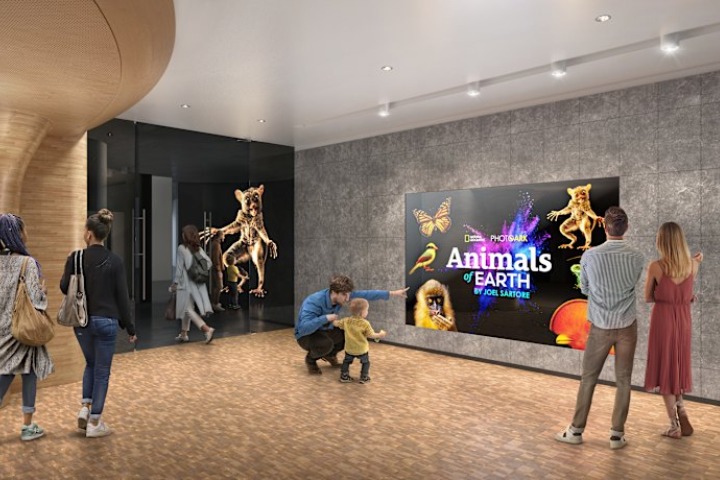 4. Concepto artístico de la sala Photo Ark: Animals of Earth. Foto - Archivo National Geographic