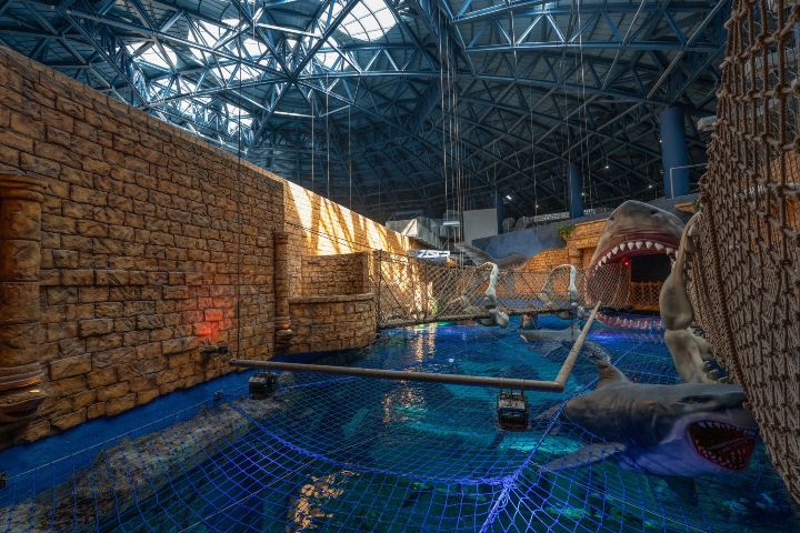 5. El Reino de los Tiburones. Foto - VinWonders Phú Quốc (Facebook)