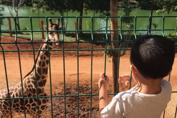 6. Niño en el Parque Zoológico Animaya. Foto - @milinovelo (Instagram)