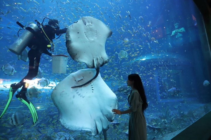 6. Reino de los Gigantes. Foto - VinWonders