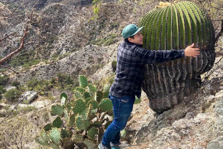 7. Hombre abrazando cactus gigante en la Barranca de Metztitlán. Foto - @orgullosamentehidalguense.mx (Instagram)