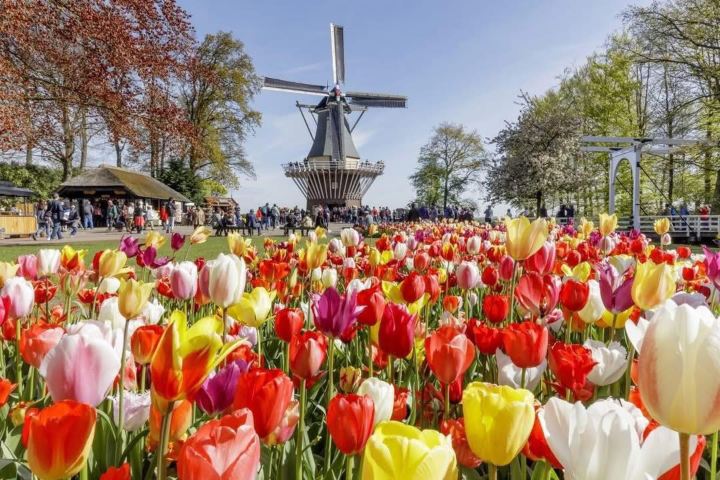 9. Molino en Keukenhof. Foto - @ashley_personal_travel_advisor (Instagram)