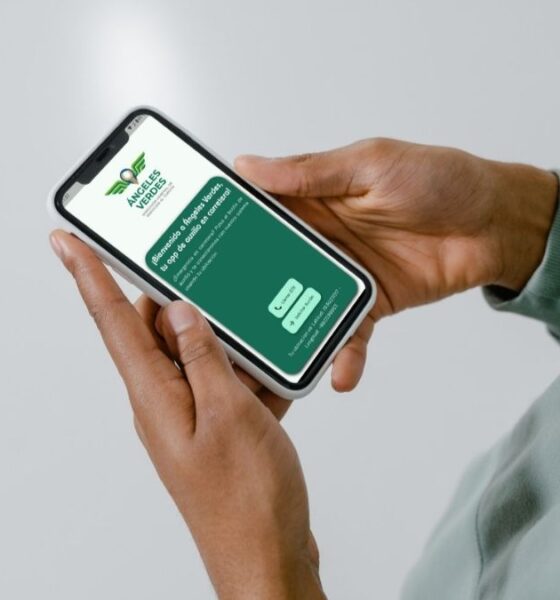 CONOCE LA APP DE LOS ÁNGELES VERDES