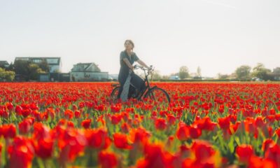 KEUKENHOF, EL JARDÍN QUE ABRE 3 MESES AL AÑO