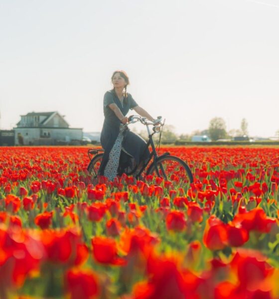 KEUKENHOF, EL JARDÍN QUE ABRE 3 MESES AL AÑO
