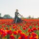 KEUKENHOF, EL JARDÍN QUE ABRE 3 MESES AL AÑO