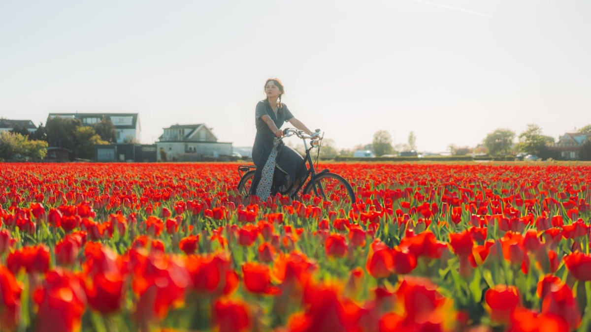 KEUKENHOF, EL JARDÍN QUE ABRE 3 MESES AL AÑO