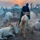 LA TRIBU MUNDARI DE SUDÁN DEL SUR