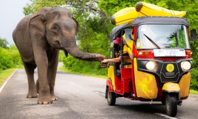 TUKTUK TOURNAMENT EN SRI LANKA