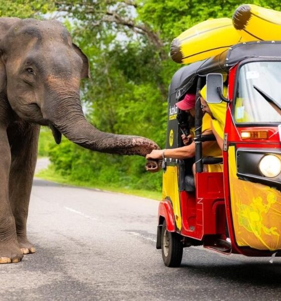 TUKTUK TOURNAMENT EN SRI LANKA