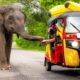 TUKTUK TOURNAMENT EN SRI LANKA