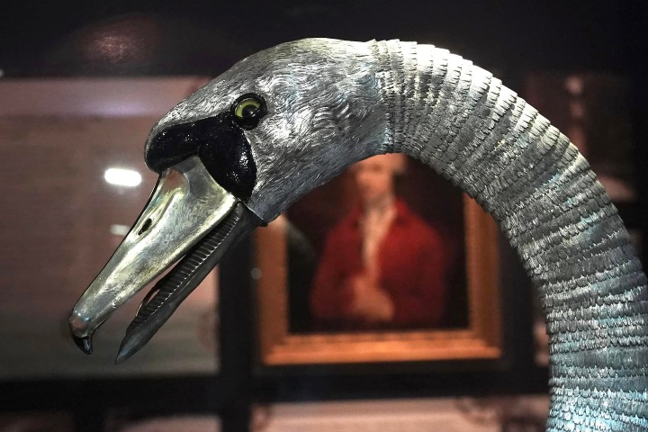 1. El Cisne de Plata. Foto - Kevin Creaghan (Facebook)