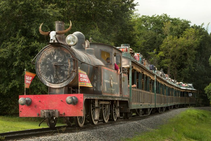 1. Wildlife Express Train. Foto - Laughing Place Inc