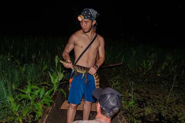 3. Hombre sujetando pequeño caiman durante safari nocturno en Panamá. Foto - Recorriendo Panamá