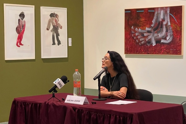 3. Conferencia de Avelina Lesper durante el Art Walk Rosarito. Foto - @pattyroa (Instagram)