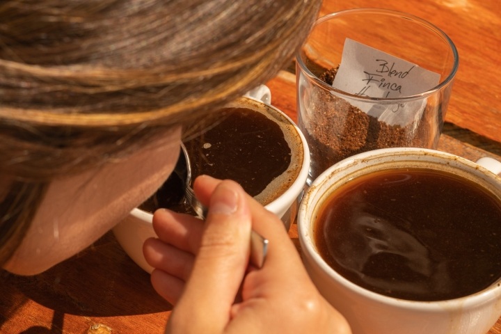 3. Degustación de café en la Finca Hamburgo. Foto - Finca Hamburgo (Facebook)