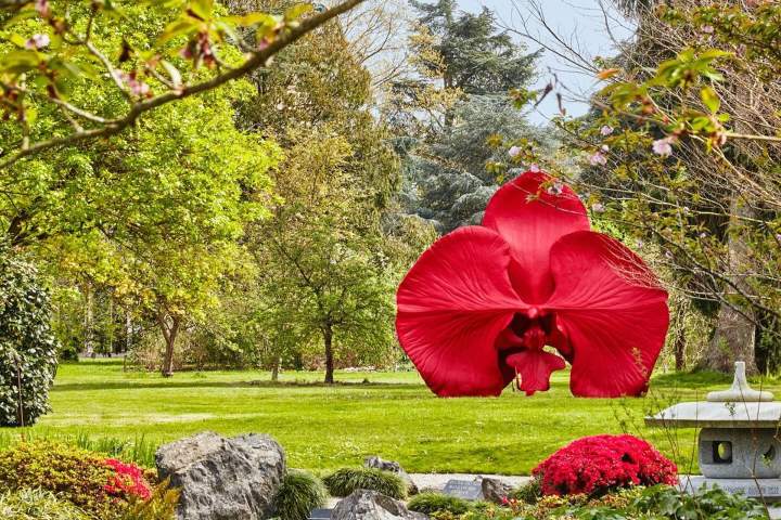 3. Flor de Marc Quinn. Foto - @marcquinnart (Instagram)