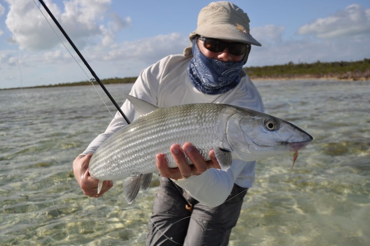 3. Macabí gigante. Foto - Mangrove Cay Club