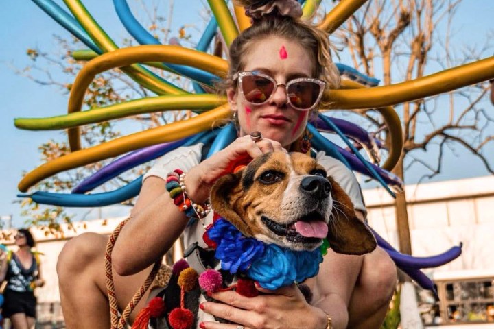3. PV Pride Pet Parade. Foto - Vallarta Pride (Facebook)