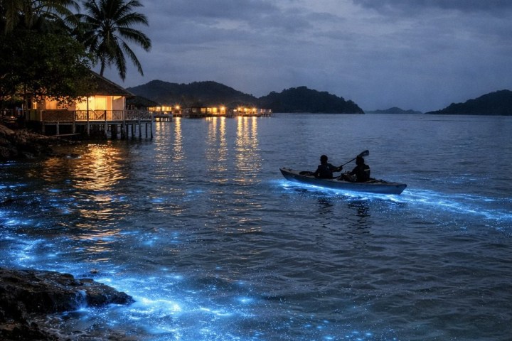 4. Bioluminiscencia en Bocas del Toro, Panamá. Foto - Pahoy Panamá
