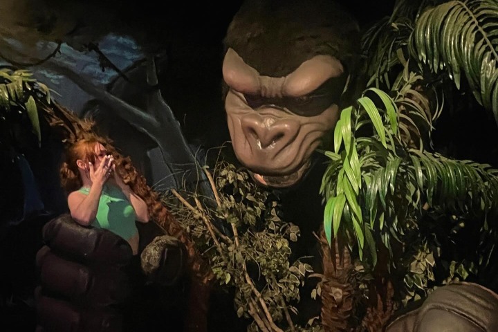 4. King Kong en el Museum of the Weird. Foto - @scrambleddd._.megs._ (Instagram)
