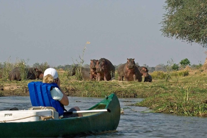 4. Safari en canoa por Mana Pools National Park. Foto - Sun Safaris
