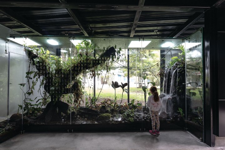 5. Terrarios en Wikiri Sapoparque. Foto - archdaily
