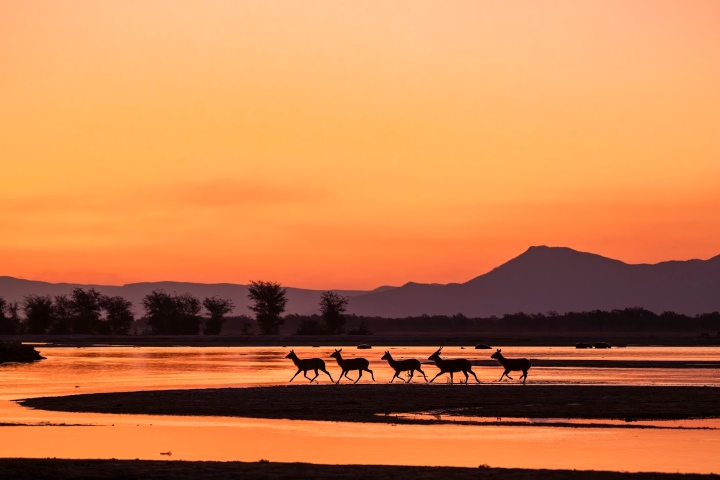 6. Parque Nacional Mana Pools. Foto - Archivo Wilderness