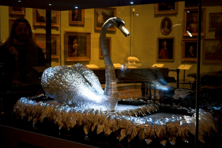 7. Cisne de Plata. Foto - Stephen Allport (Flickr)