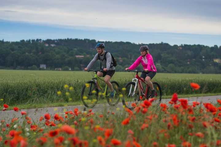 8. Ciclistas en la ruta Praga – Karlštejn. Foto - Avantgarde Prague