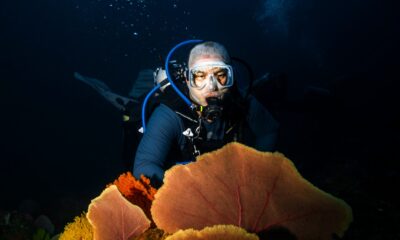 ACTIVIDAD DE NOCTURISMO EN PANAMÁ
