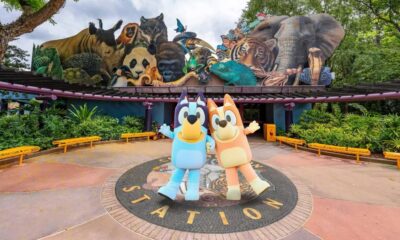 BLUEY’S WILD WORLD LLEGA A WALT DISNEY WORLD RESORT. Foto - u_dontcomeback82 (Reddit)