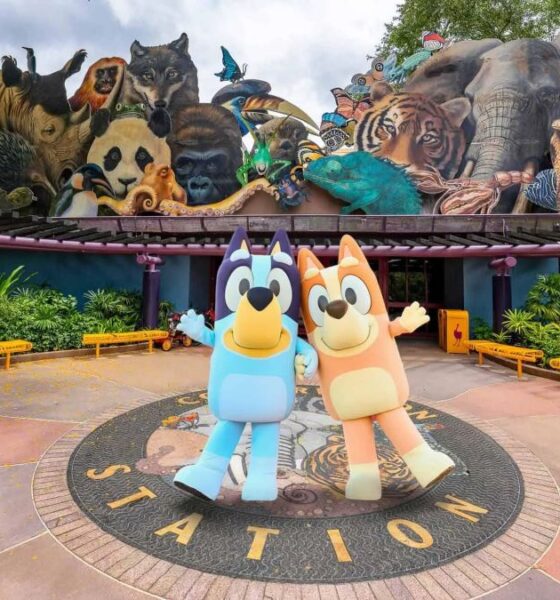 BLUEY’S WILD WORLD LLEGA A WALT DISNEY WORLD RESORT. Foto - u_dontcomeback82 (Reddit)