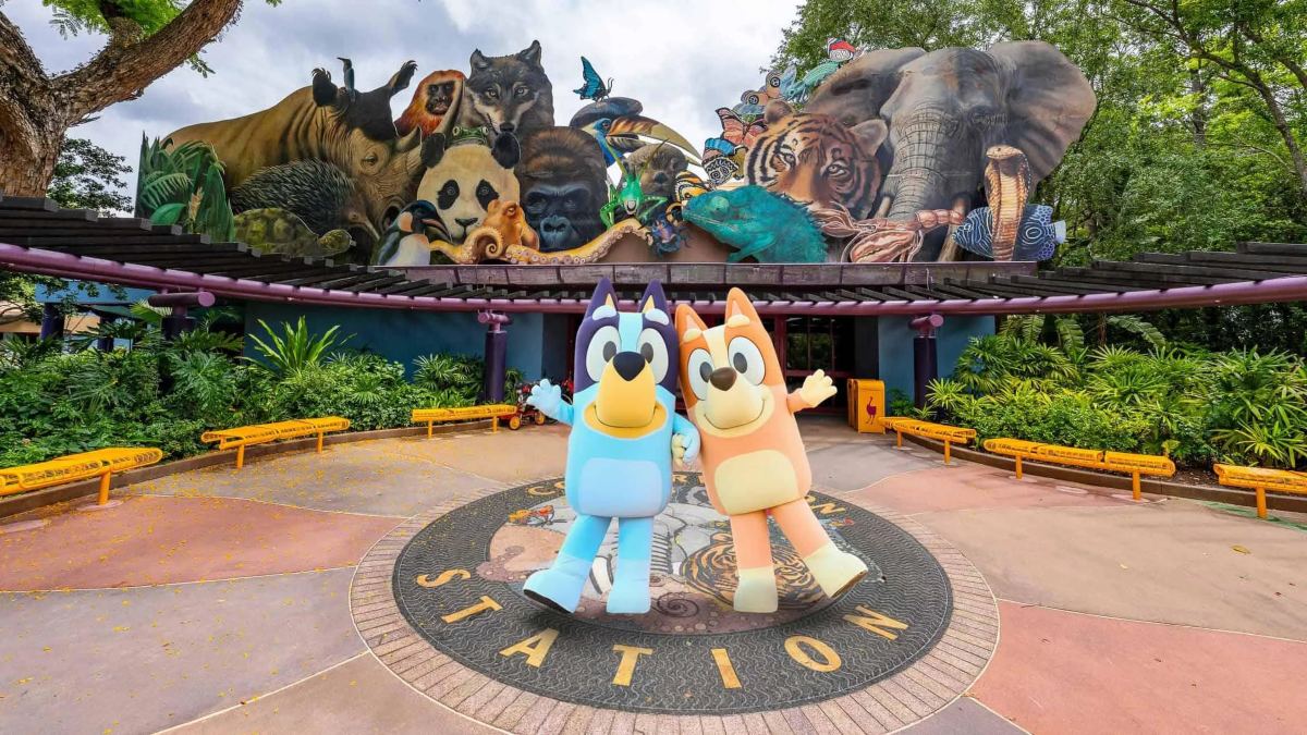 BLUEY’S WILD WORLD LLEGA A WALT DISNEY WORLD RESORT. Foto - u_dontcomeback82 (Reddit)