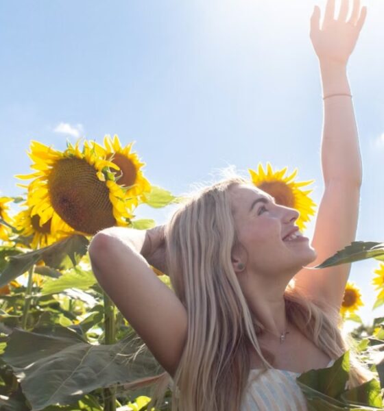 CAMPO DE GIRASOLES CON REHILETES