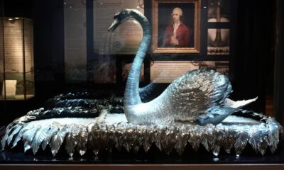 EL CISNE DE PLATA EN INGLATERRA. Foto - Kevin Creaghan (Facebook)