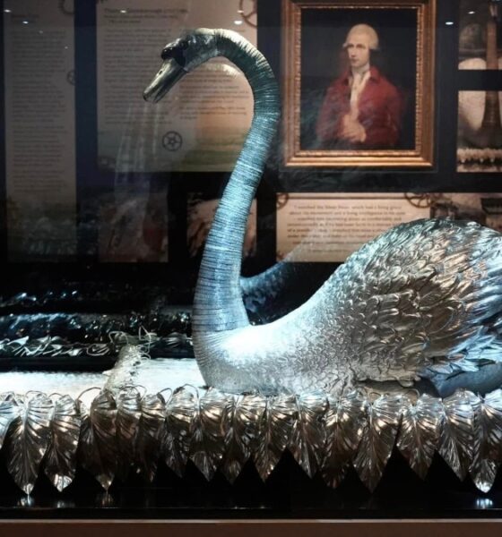 EL CISNE DE PLATA EN INGLATERRA. Foto - Kevin Creaghan (Facebook)