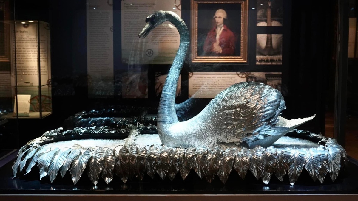 EL CISNE DE PLATA EN INGLATERRA. Foto - Kevin Creaghan (Facebook)