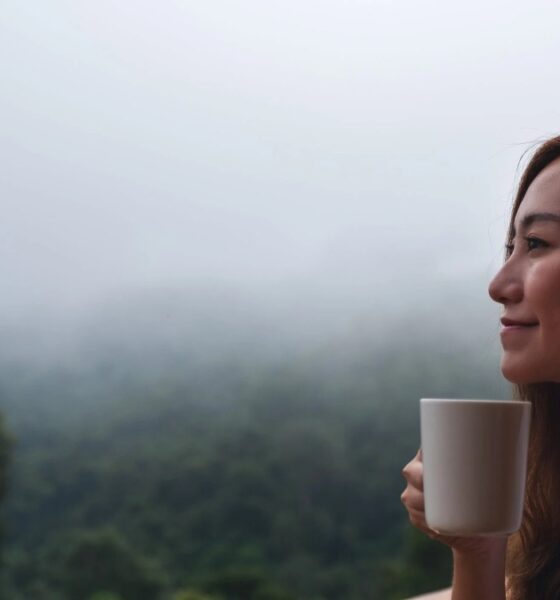LA RUTA DEL CAFÉ EN CHIAPAS CON REHILETES. Foto - Green Coast Counseling