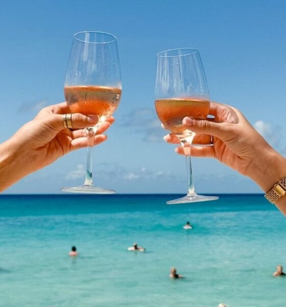 LA RUTA DEL VINO EN ENSENADA CON REHILETES. Foto - @dawaterhole_sxm (Instagram)