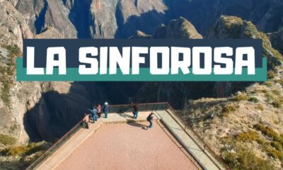 LA SINFOROSA