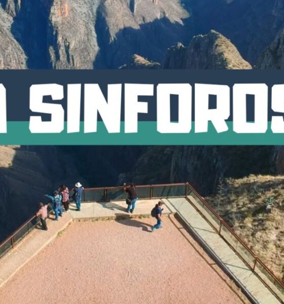 LA SINFOROSA