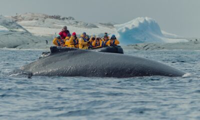 RUTA POLAR EN LA ANTÁRTICA. Foto - Archivo Quark Expeditions