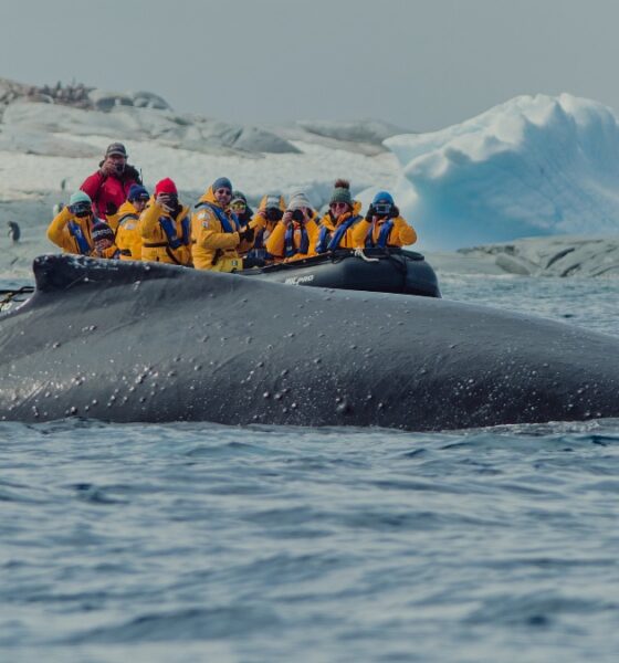 RUTA POLAR EN LA ANTÁRTICA. Foto - Archivo Quark Expeditions