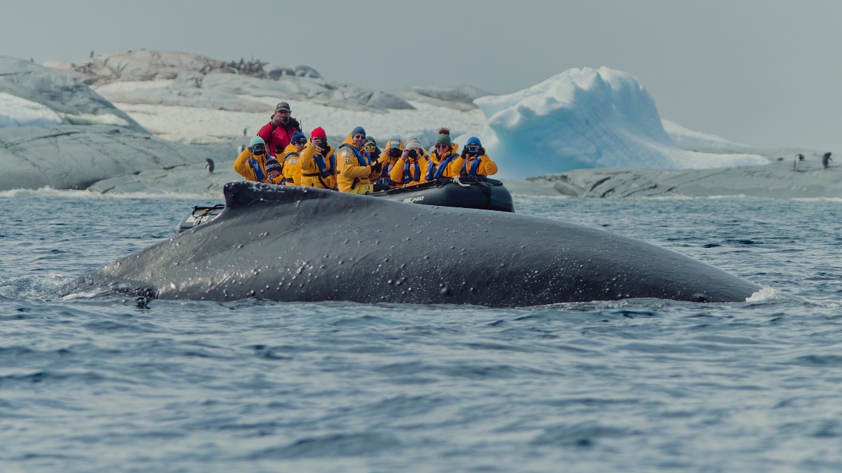 RUTA POLAR EN LA ANTÁRTICA. Foto - Archivo Quark Expeditions