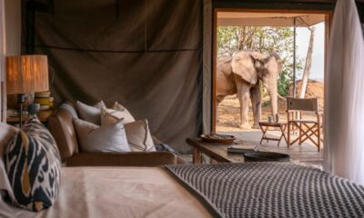 WILDERNESS REABRE 2 CAMPAMENTOS EN EL PARQUE NACIONAL MANA POOLS